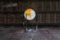 Preview: Floor Globe DFN 5080